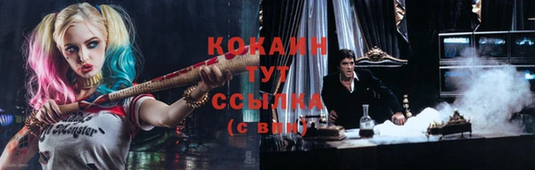 шишки Балахна