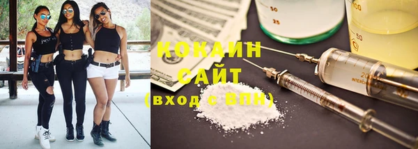 шишки Балахна