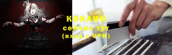 шишки Балахна