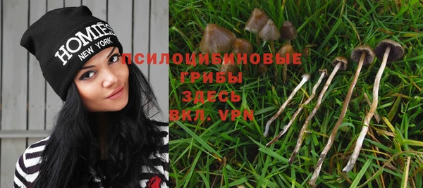 метадон Баксан